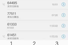 盐津融资清欠服务